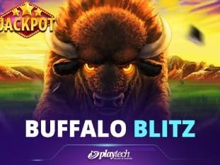 Buffalo Blitz thumbnail